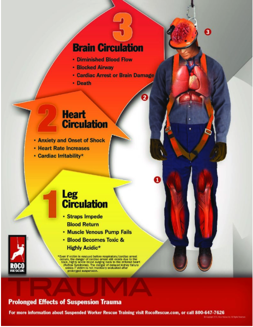 Suspension Trauma Safety Poster