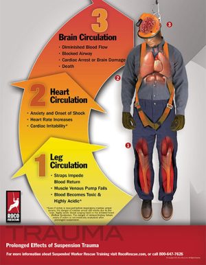 Suspension Trauma Poster